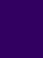 #310062 color image