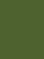 #4d622f color image