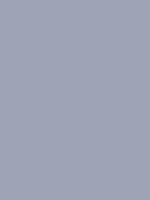 #9da3b2 color image