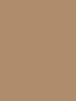 #af8c6c color image