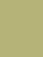 #b5b378 color image