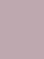#bea8af color image