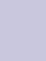 #c9c7dd color image