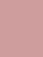 #ce9d9d color image
