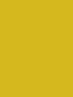 #d5b81d color image