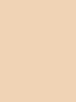 #f0d3b5 color image